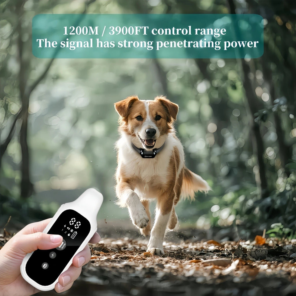 Collare digitale impermeabile per cani, ricaricabile con telecomando LCD, 1000 m