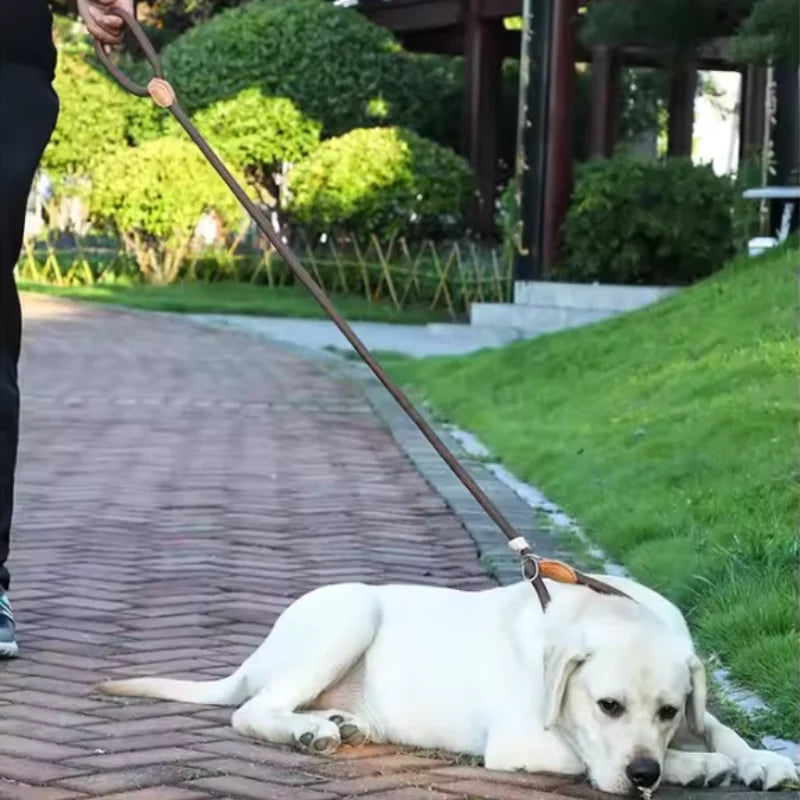 Guida in Corda Slip per Cani Medi e Grandi, Regolabile e Resistente
