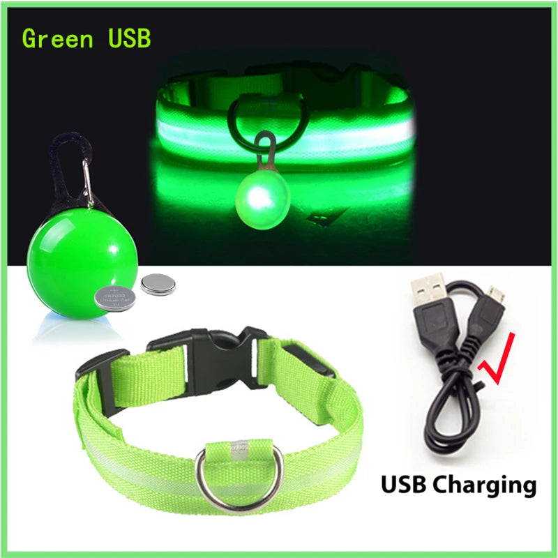 Collier lumineux pour chien rechargeable par USB avec pendentif détachable, collier LED de luxe pour la sécurité nocturne des petits chiens et chats, vente en gros