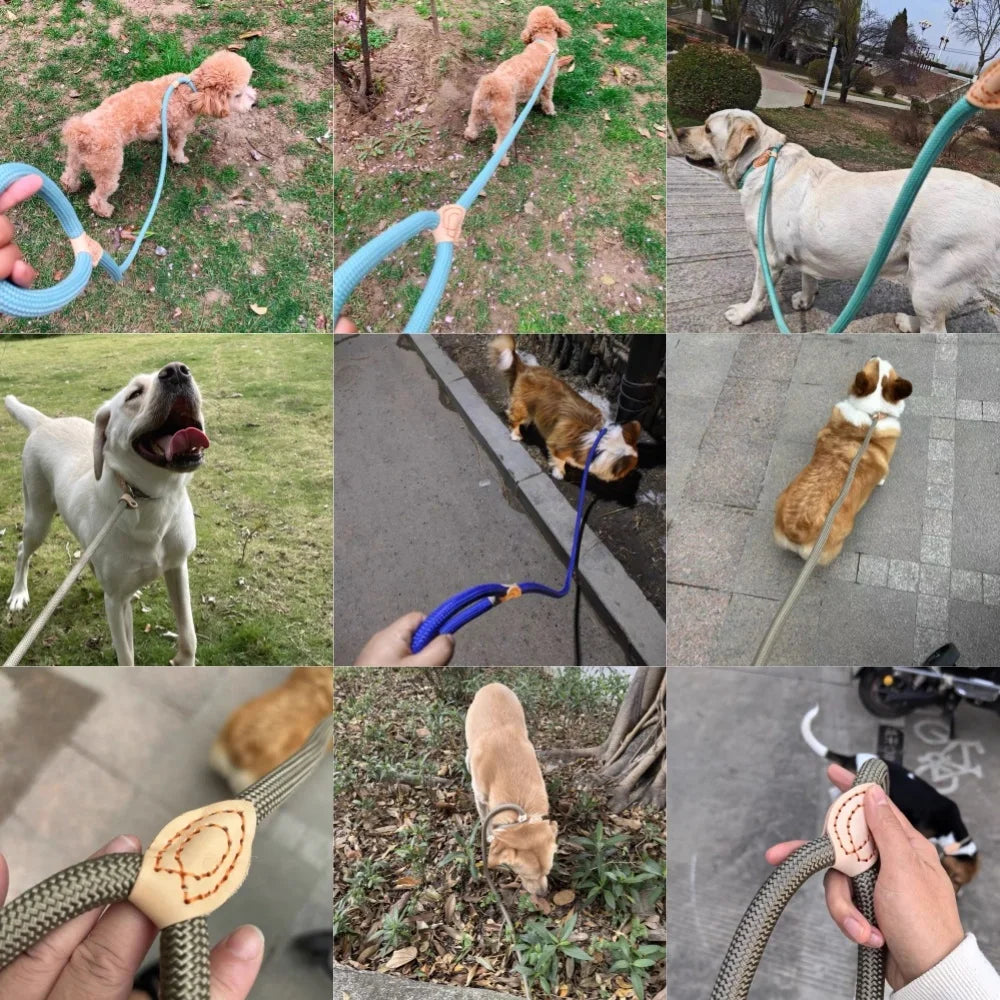 Guinzaglio in corda intrecciata 1,5‑1,8 m per cani medio‑grandi, resistente e…