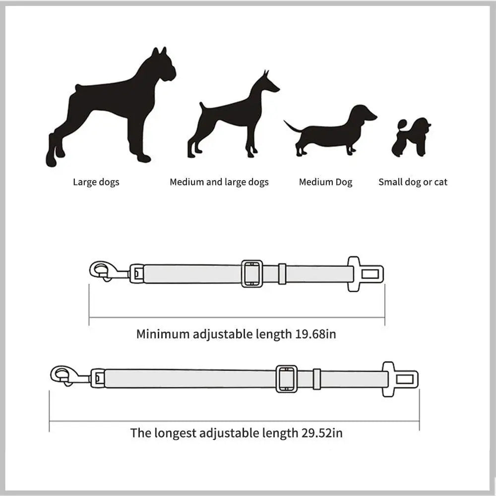 Cintura di Sicurezza per Animali da Viaggio Regolabile – Cinturino per Cane e…