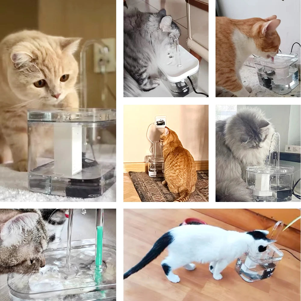 Fontana d'acqua per gatti con filtro automatico, capacità 1,5 L, silenziosa e…