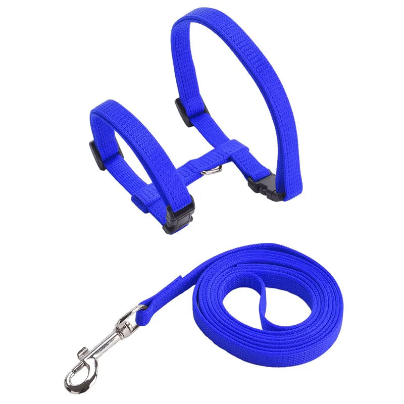 Collare regolabile in nylon per gatti e cuccioli – set con guinzaglio