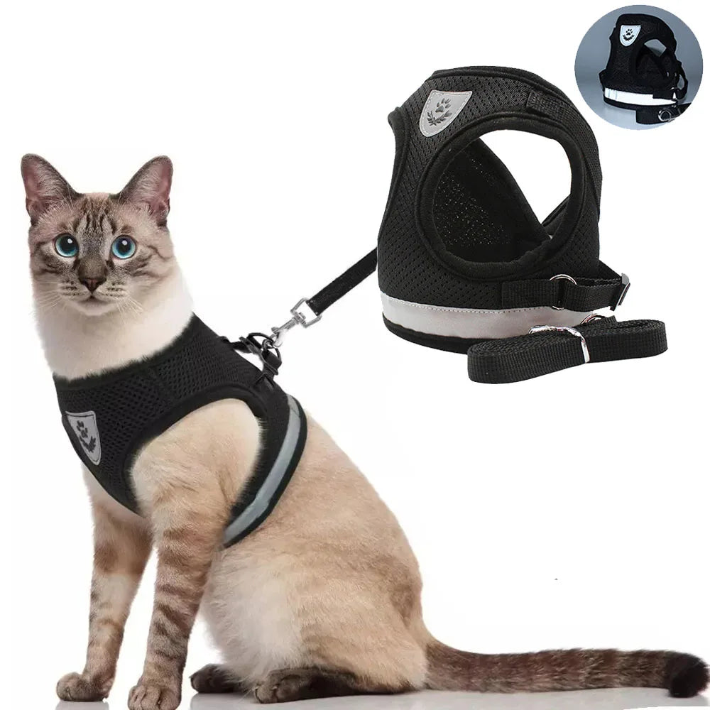Imbracatura traspirante per cane e gatto, guinzaglio riflettente anti‑sfugge