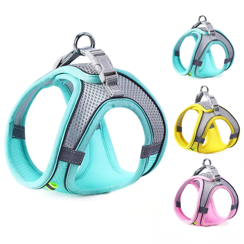 Pettorina riflettente regolabile per cani e gatti – Set con guinzaglio in nylon