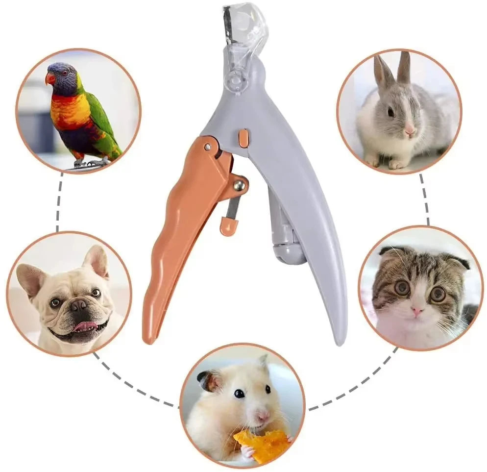 Tagliaunghie LED per Cani e Gatti con 5x Ingrandimento e Luce
