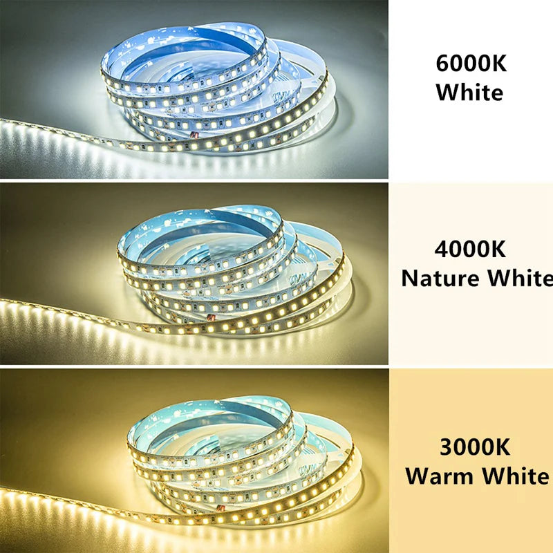 Striscia LED 12V 2835 60/120 LED/m – fino a 5 m, 3000‑6000 K, alta resa luminosa