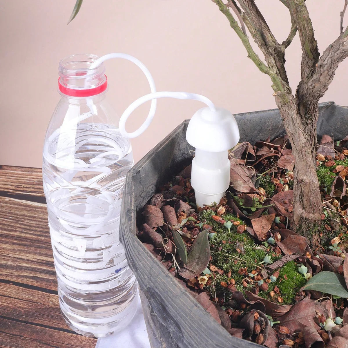 Set da 2 o 4 Irrigatori Automatici in Ceramica per Vasi e Giardino