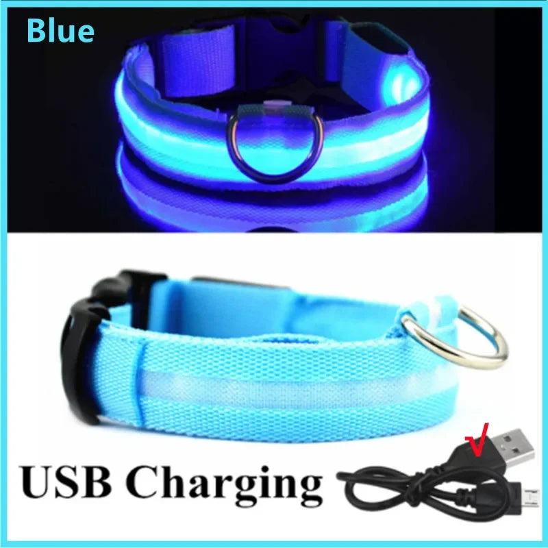 Collare LED Luminoso per Cani e Gatti - USB Ricaricabile, 3 Modalità,…