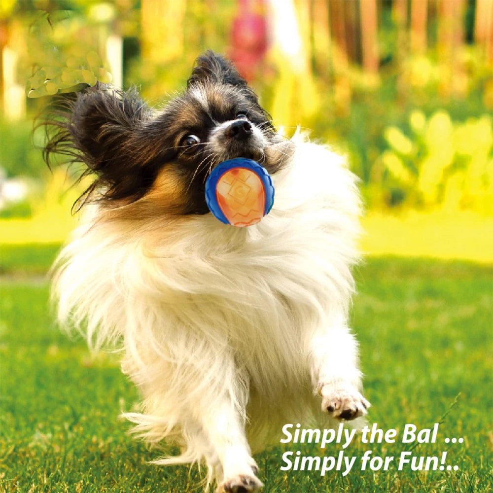 Palla da masticare per cani con fischio - Gioco elastico in gomma non tossica