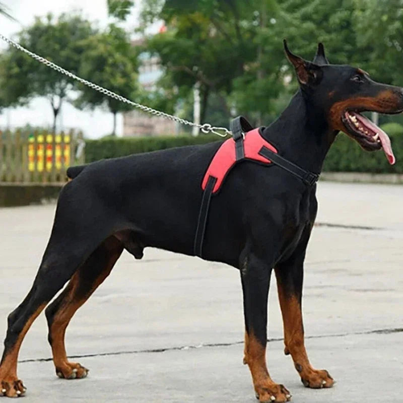 Imbracatura regolabile per cani di tutte le taglie – Vestaglia in nylon…