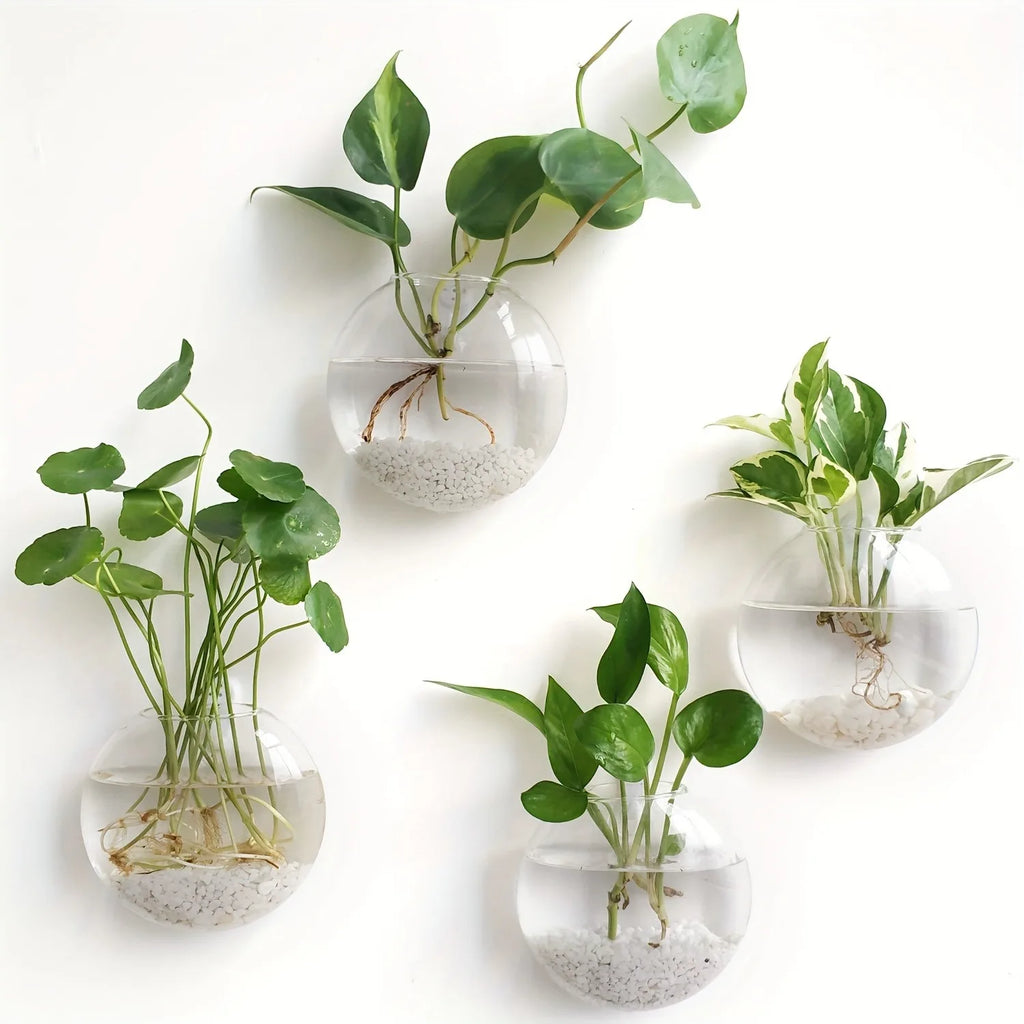 Terrario da parete in vetro con vaso cristallo rotondo - Kit da 2/4/6…