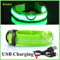 Collare LED Luminoso per Cani e Gatti - USB Ricaricabile, 3 Modalità,…