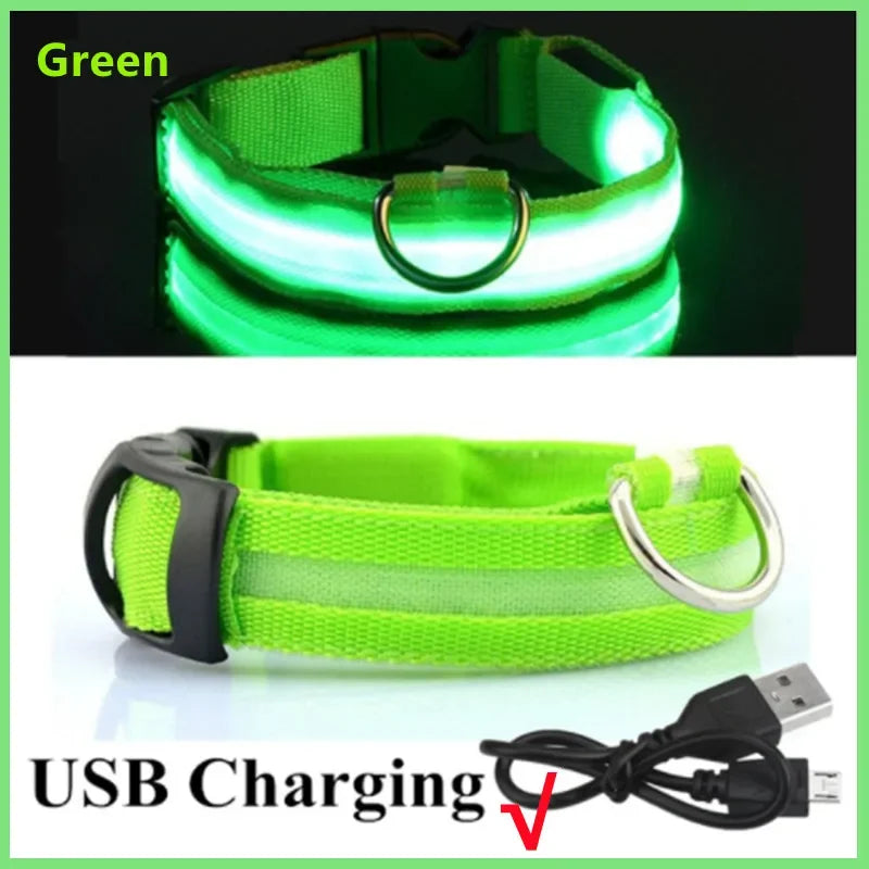 Collare LED Luminoso per Cani e Gatti - USB Ricaricabile, 3 Modalità,…