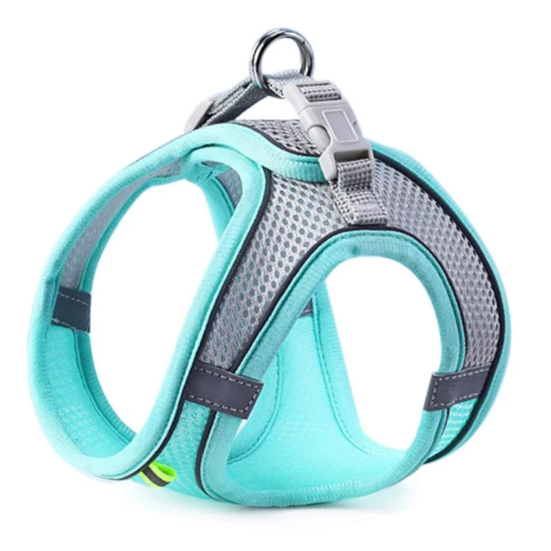 Pettorina riflettente regolabile per cani e gatti – Set con guinzaglio in nylon