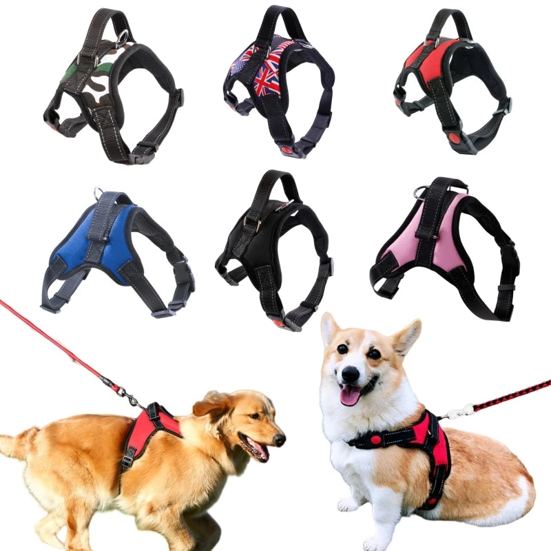 Imbracatura per Cani Vest Taglie S M L - Nylon Riflettente, Chiusura Lampo