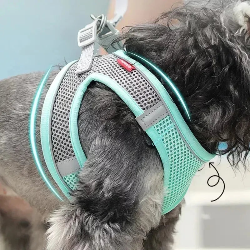 Set Imbracatura Regolabile per Cuccioli e Gatti – Nylon Riflettente