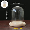 Glass Dome Wooden Base With LED Light Birthday Gift Bedroom Decor Glass Cover Landscape Vase Terrarium Container Flower Holder
