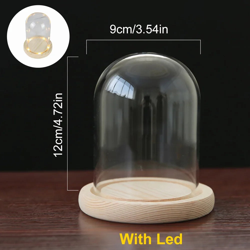 Glass Dome Wooden Base With LED Light Birthday Gift Bedroom Decor Glass Cover Landscape Vase Terrarium Container Flower Holder