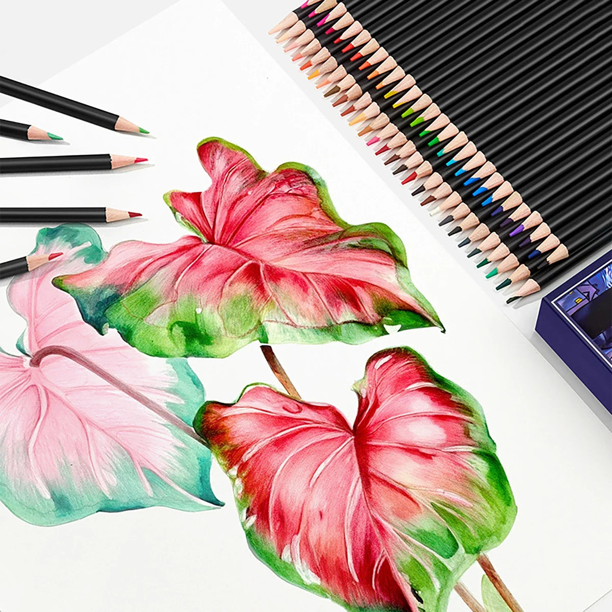 24/36/48/72 Professional Colored Watercolor Pencils Set for Adults & Teens - Premium Art Supplies with Vibrant Colors