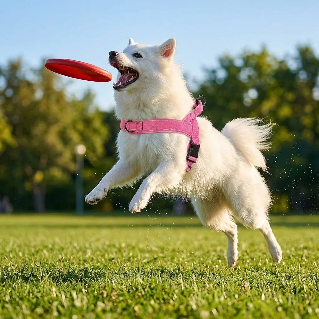 Imbracatura anti-tiro per cani grandi, resistente e riflettente