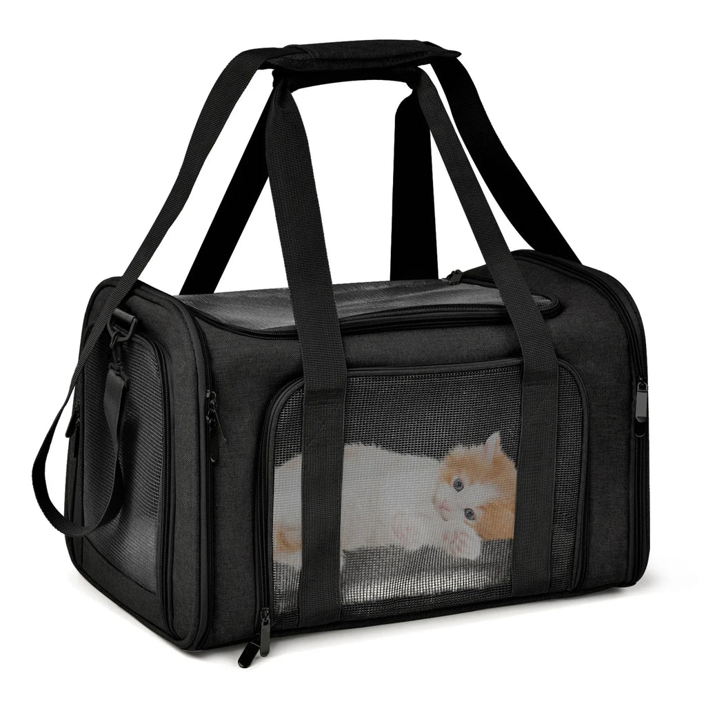 Trasportino pieghevole per gatti e cani piccoli fino a 7 kg – Zaino porta…