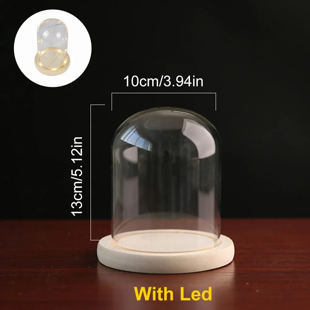 Cupola Vetro Legno LED - Vassoio Decorativo Fiori Permanenti