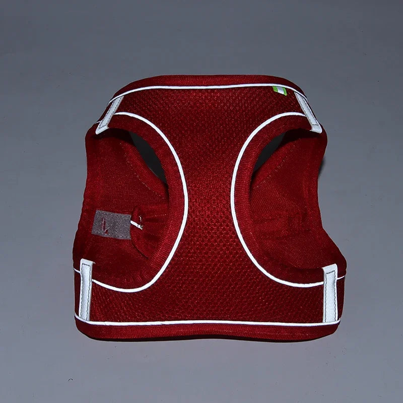 Set Imbracatura Regolabile per Cuccioli e Gatti – Nylon Riflettente