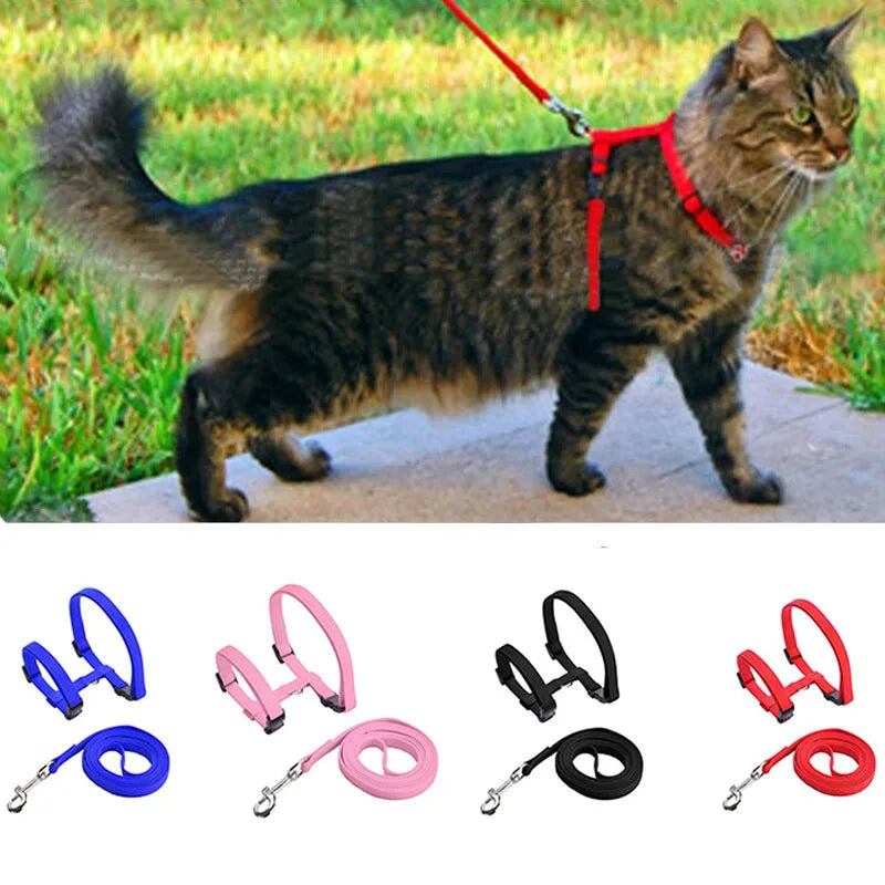 Collare regolabile in nylon per gatti e cuccioli – set con guinzaglio
