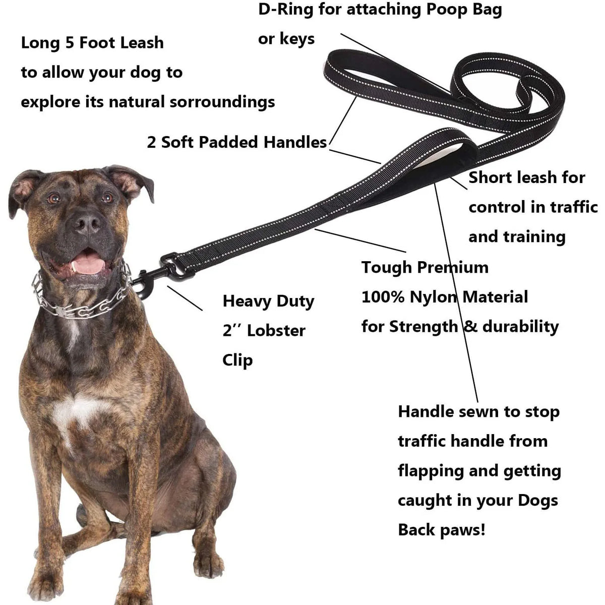 Guida Doppia Padded Nylon Riflettente per Addestramento Cani