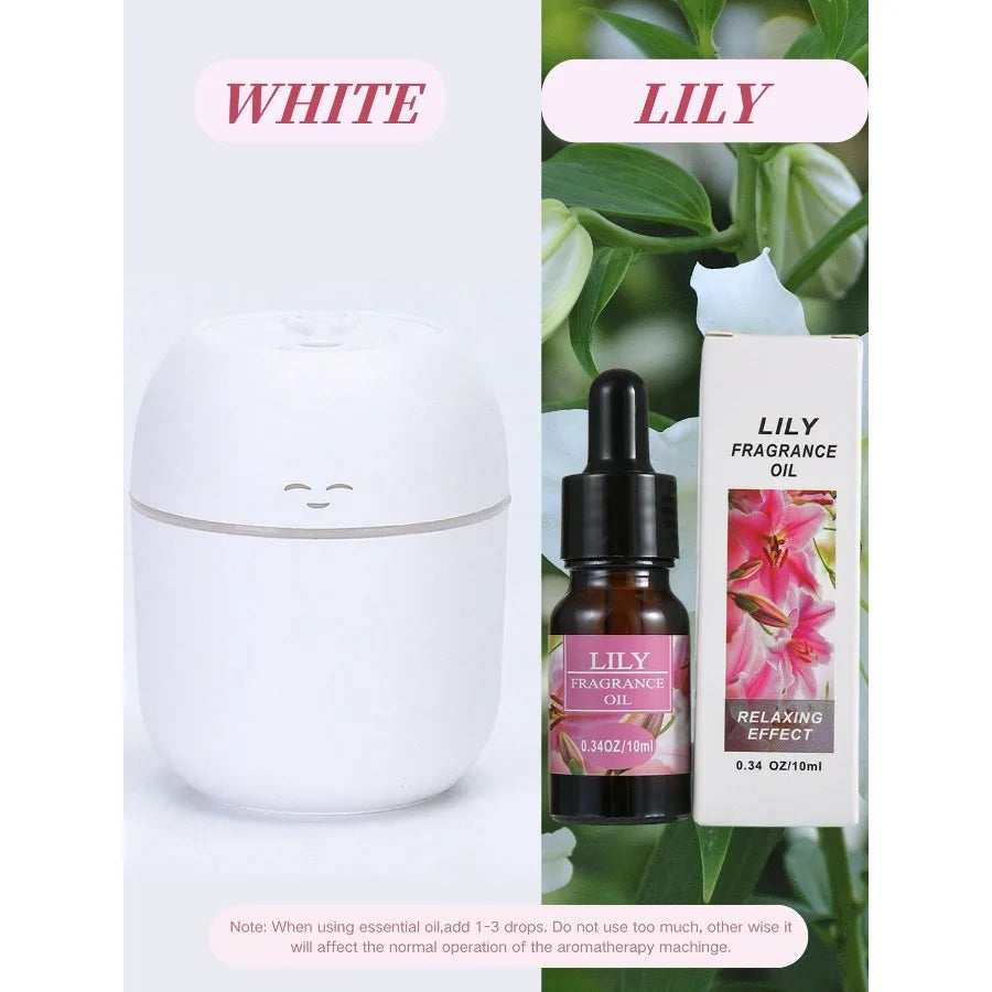 Diffusore USB Mini Aroma da 220 ml con Luce LED e Spegnimento Automatico