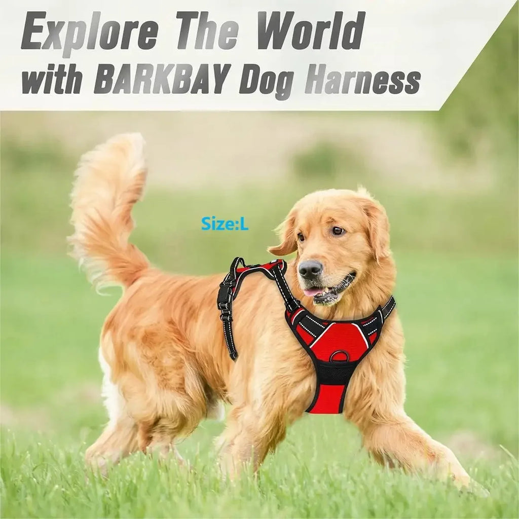 Set Collare e Imbrago a Gilet per Cani di Taglia Media e Piccola