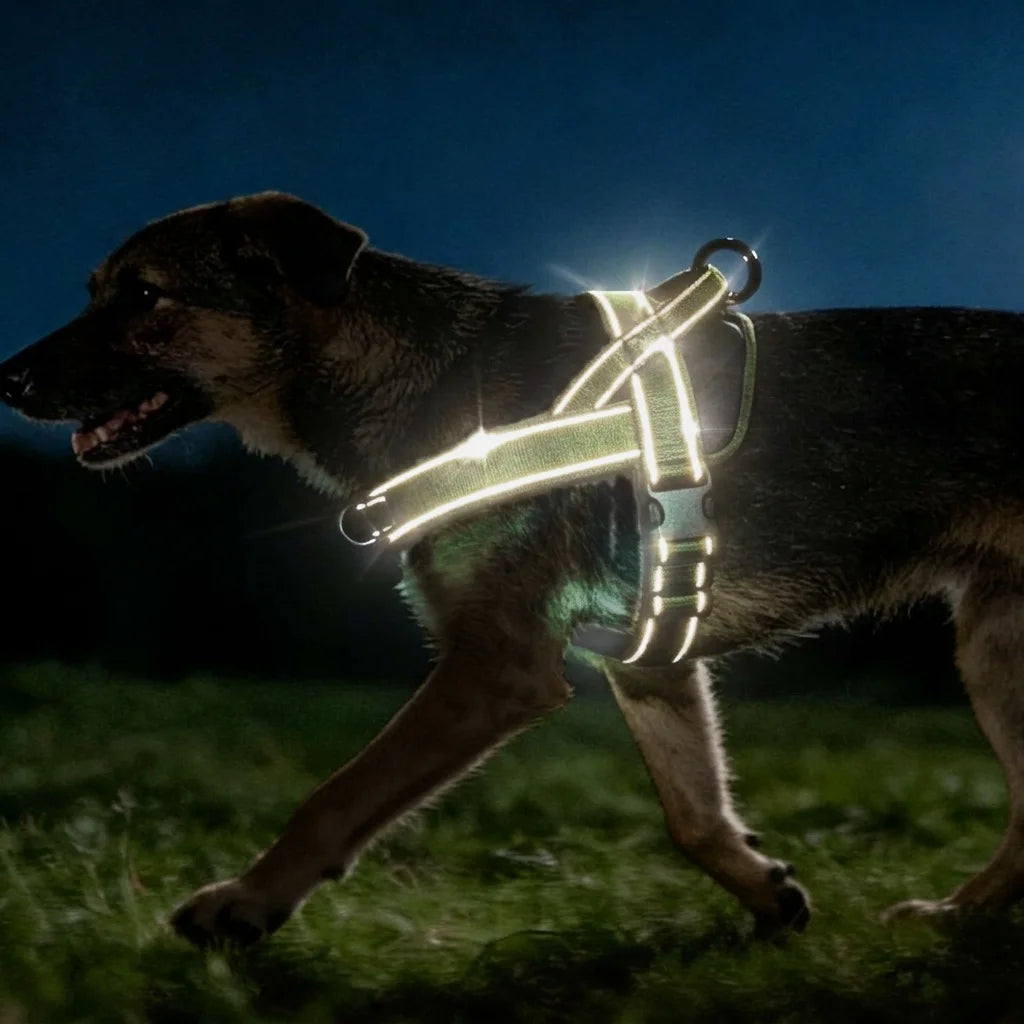Imbracatura anti-tiro per cani grandi, resistente e riflettente