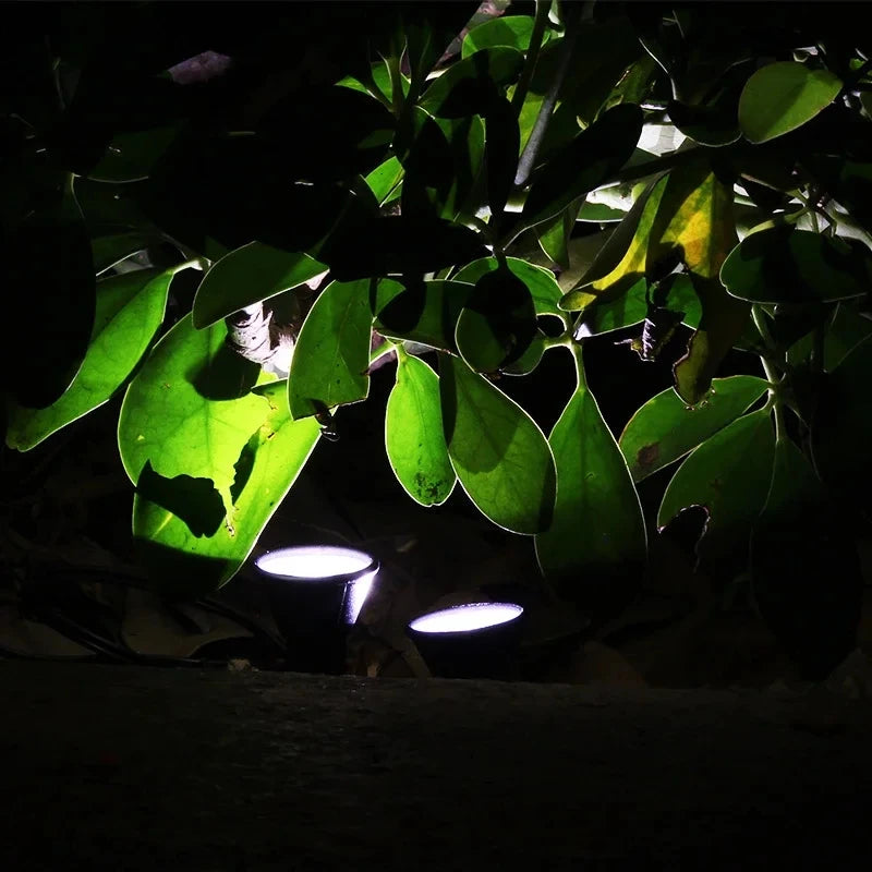 10 in 1 Solar Garden Lights Outdoor LED Lawn Stake Lights Waterproof Landscape Pathway Lamp Warm White Yard Patio Decoration