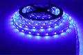 Striscia LED 5V con Sensore PIR, luce notturna a batteria per armadi e ambienti