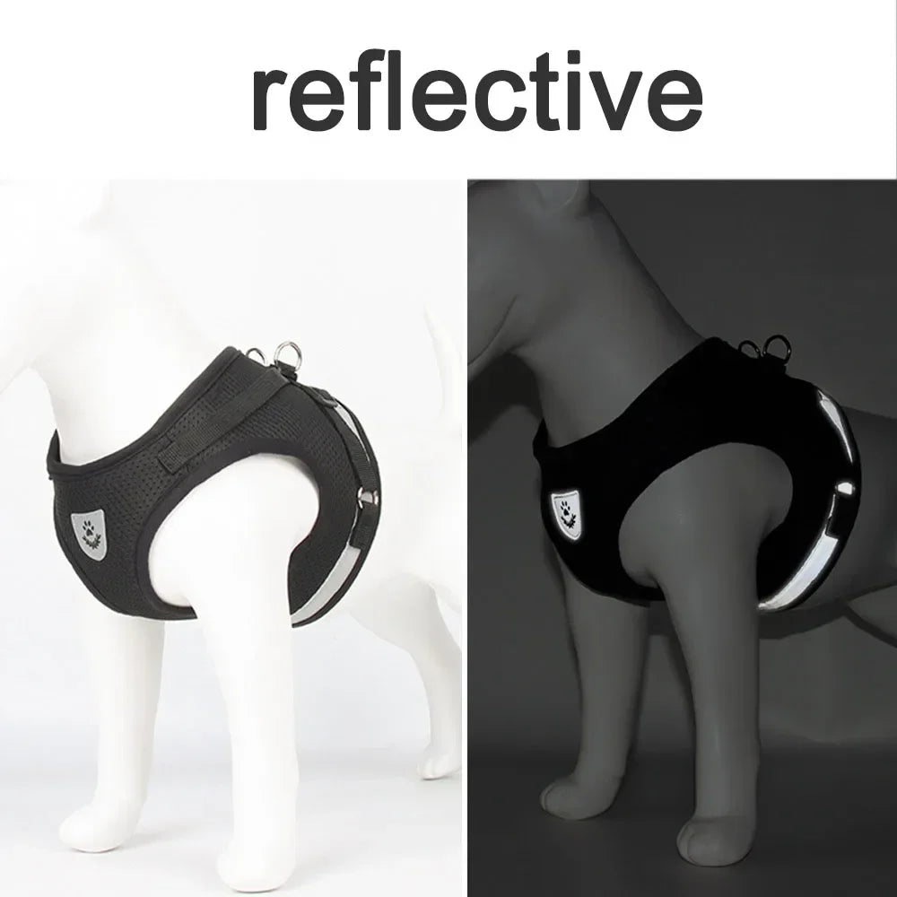 Set guinzaglio e pettorina regolabile riflettente in mesh per cani e gatti