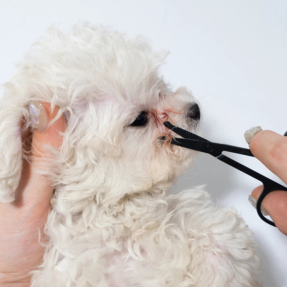 Set Pulizia Viso e Unghie per Animali – Pettine e Forbici Anti- irritazioni