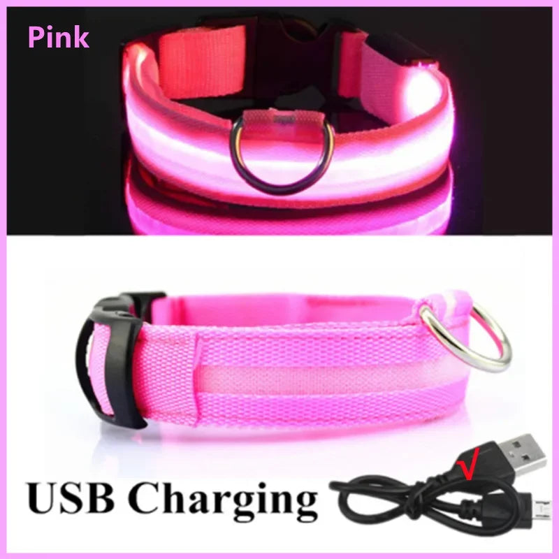 Collare LED Luminoso per Cani e Gatti - USB Ricaricabile, 3 Modalità,…