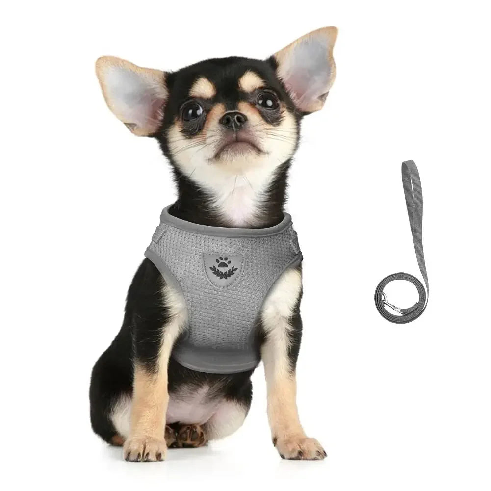 Set guinzaglio e pettorina regolabile riflettente in mesh per cani e gatti
