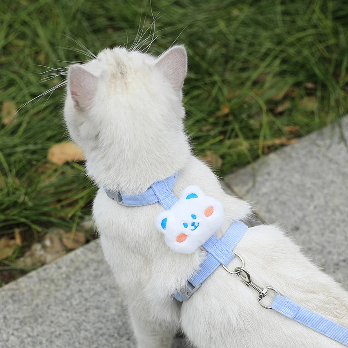 Set guinzaglio e pettorina regolabile per gatto – Comfort e sicurezza