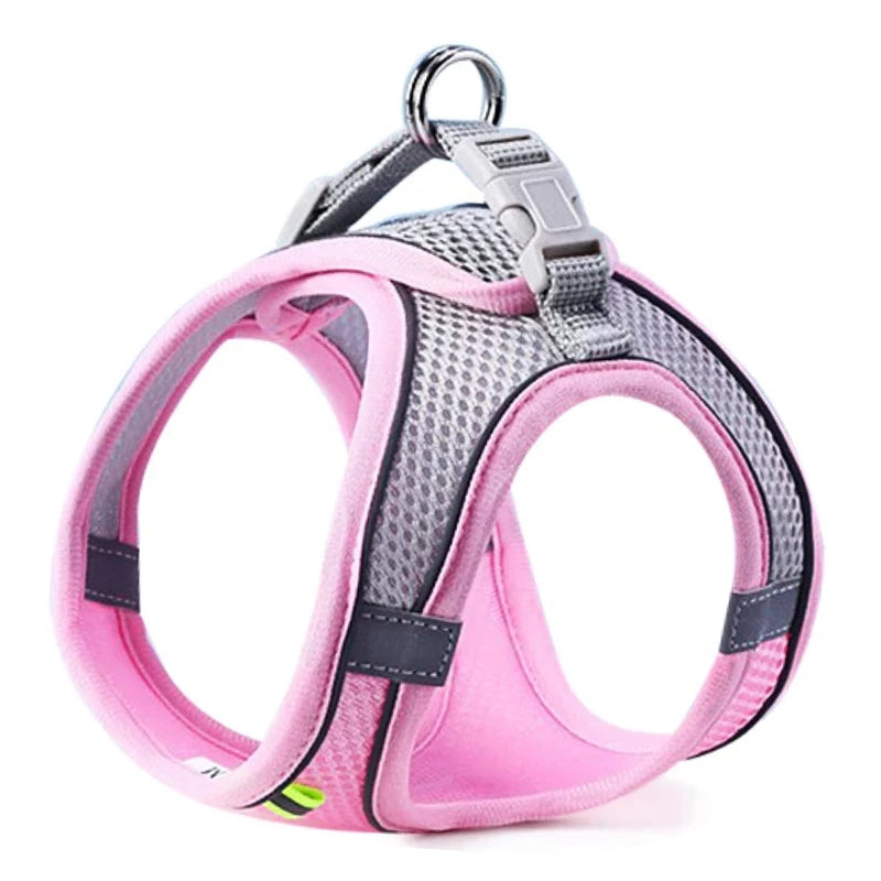 Pettorina riflettente regolabile per cani e gatti – Set con guinzaglio in nylon