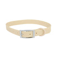 XS/S/M/L/XL Cat Dog Collars Adjustable PVC Pet Collar Candy Color