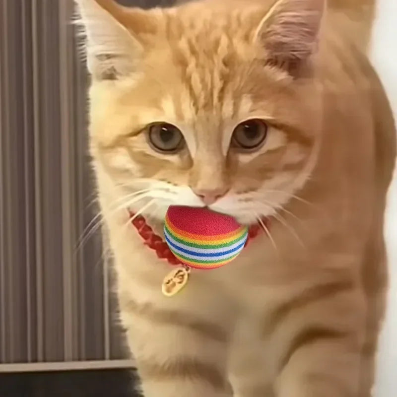 Palline giocose arcobaleno EVA per cani e gatti – Set da 10/30/50/100