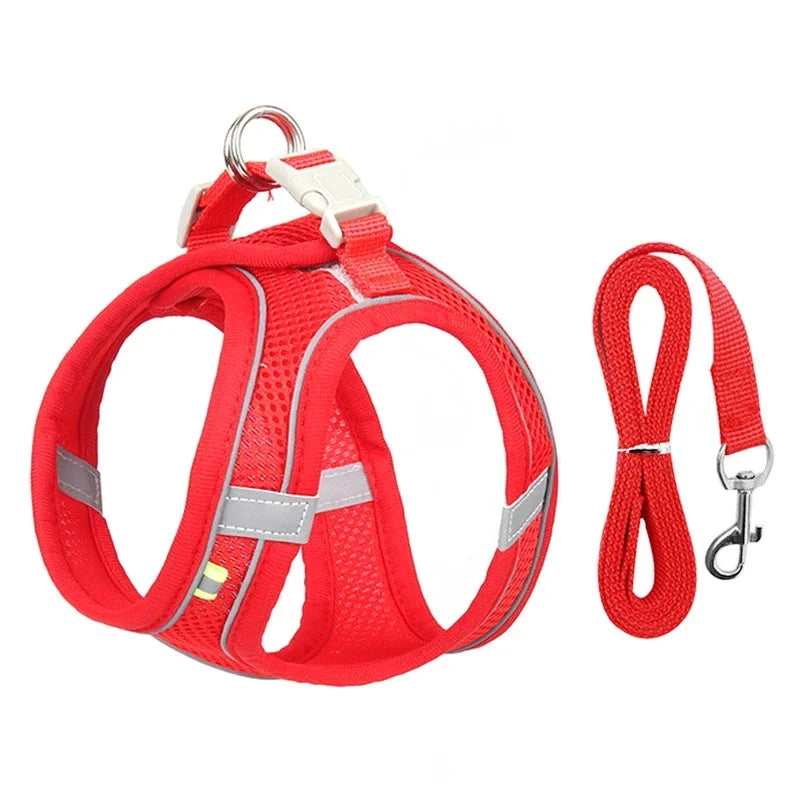 Imbracatura per Cani Piccoli con Guinzaglio, Harness Regolabile in Nylon,…