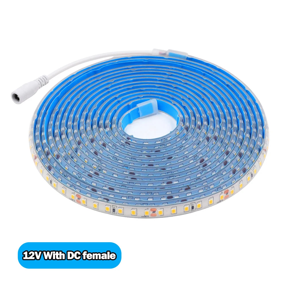 Striscia LED 2835 IP68 Waterproof 12V/24V 120LED/m Flexibile e Tagliabile