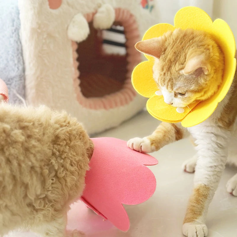 Collare protettivo recupero per cani e gatti – Cono anti morsi e leccate