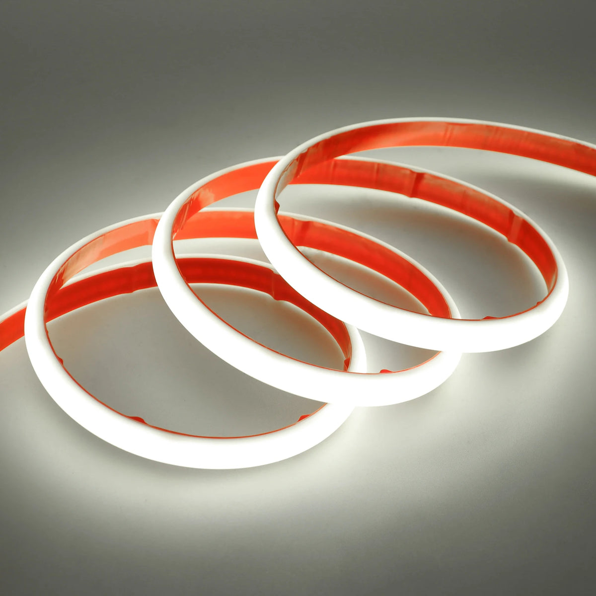 Striscia LED COB 24V impermeabile, colori multipli, energia solare