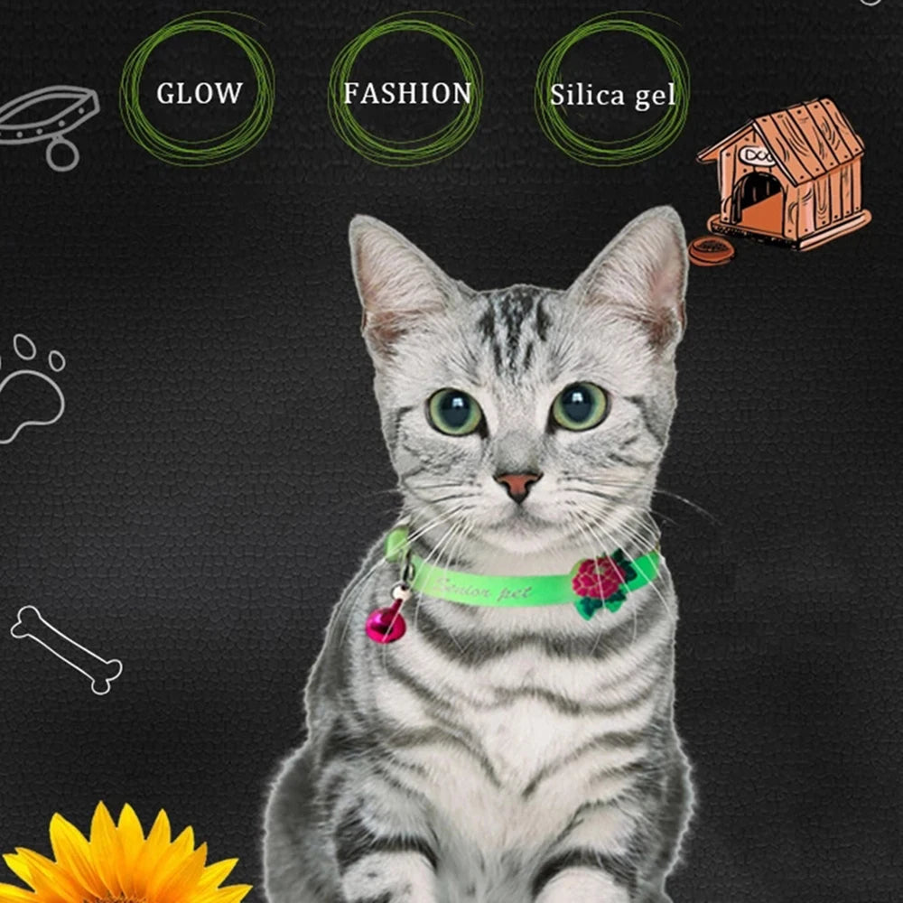 Collarlo per Gatto Luminous con Campanella Fluorescente Antismarrimento in…