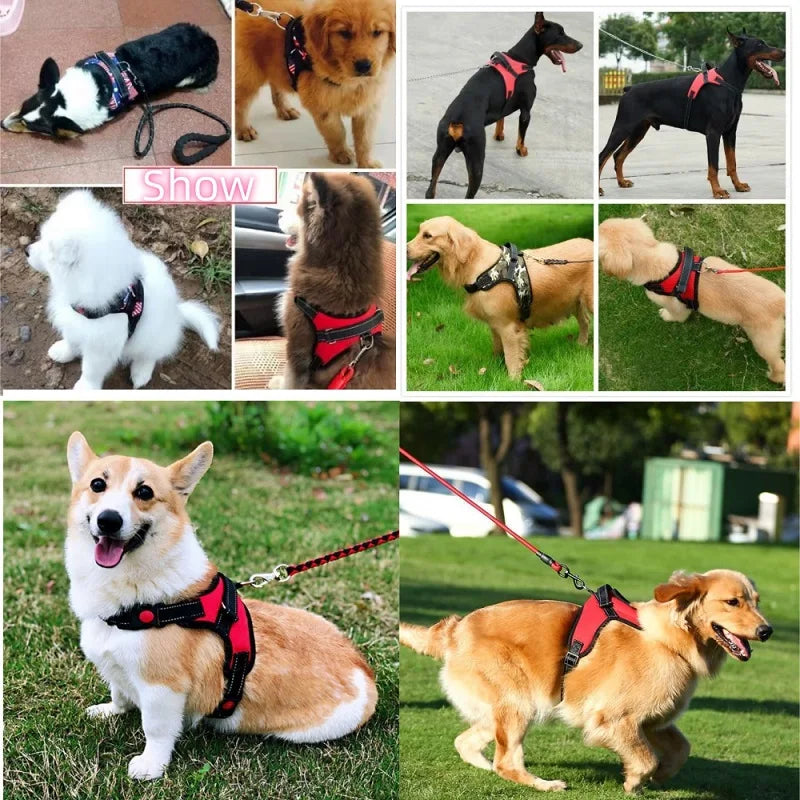 Imbracatura per Cani Vest Taglie S M L - Nylon Riflettente, Chiusura Lampo