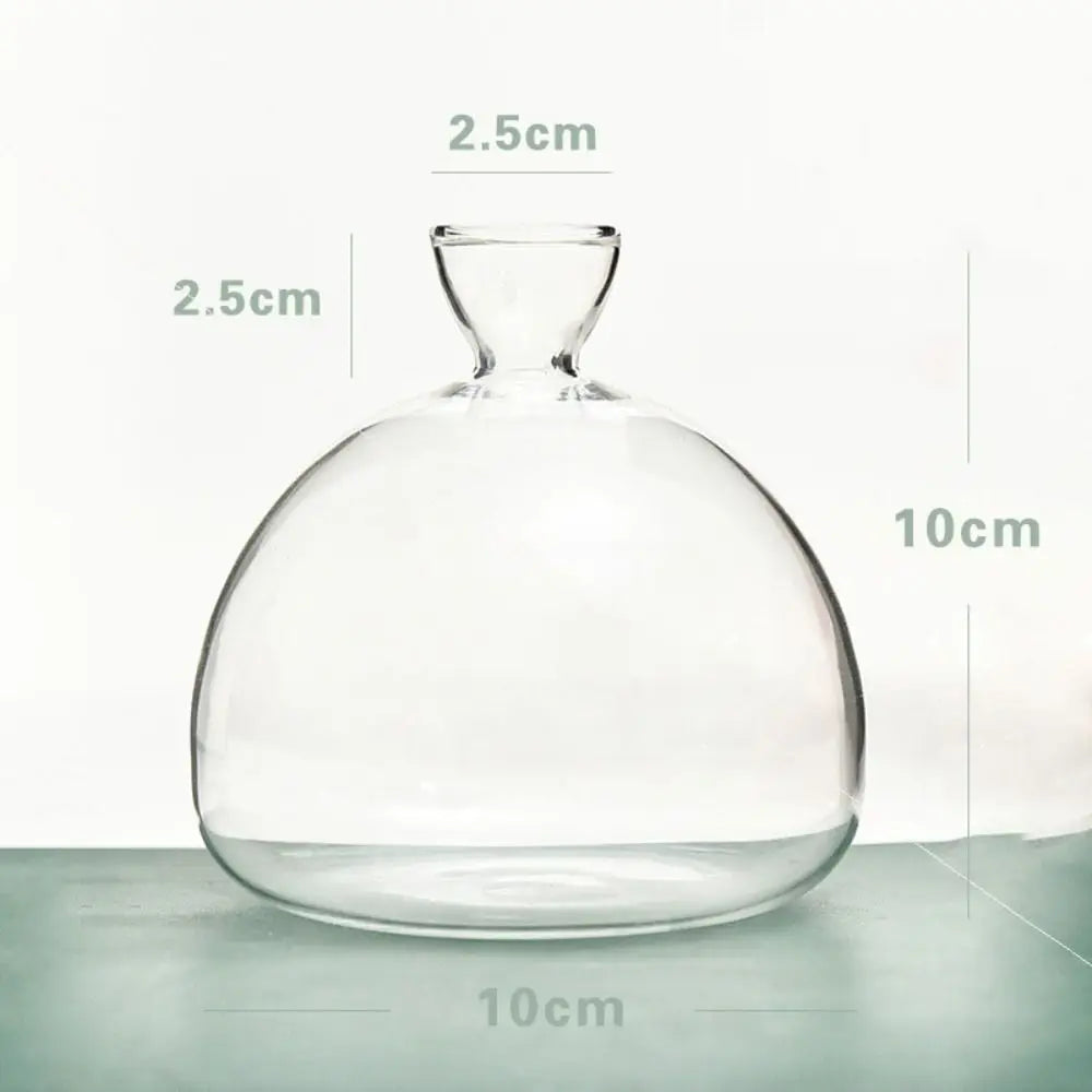 Avocado Seed Starter Vase Avocado Vase for Growing Avocado Seed Growing Kit Plant Glass with Stickers Gift for Gardening Lovers